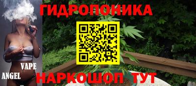 PSILOCYBIN Гусь-Хрустальный