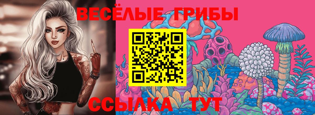 Псилоцибиновые грибы Psilocybe Медногорск