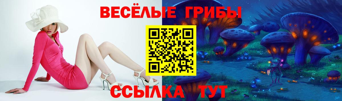 Псилоцибиновые грибы GOLDEN TEACHER  Вход с VPN  купить  цена  Медногорск 